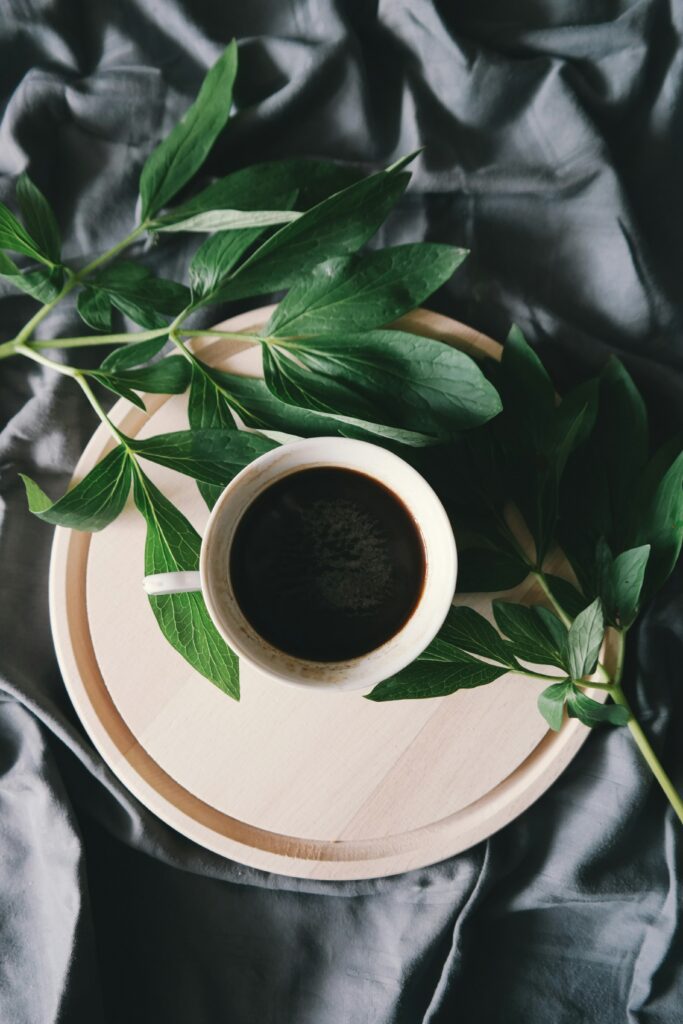 brigitte tohm yrh0ji2s2ka unsplash brigitte tohm yrh0ji2s2ka unsplash